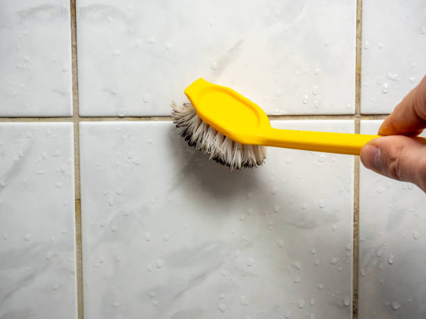 Best Certified Mold Removal  in Bullhead City, AZ