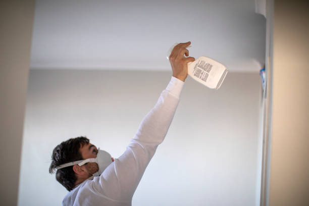 Best Certified Mold Removal  in Bullhead City, AZ