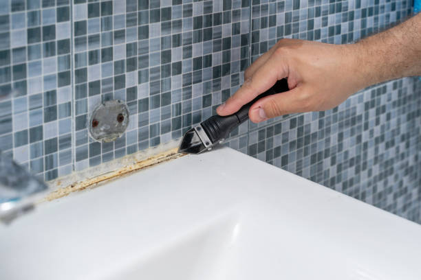 Best Professional Mold Removal  in Bullhead City, AZ
