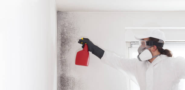 Water Damage Restoration in Bullhead City, AZ
