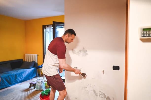 Best Mold Damage Repair  in Bullhead City, AZ
